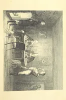 An illustration from The Fortunes of Hector O'Halloran and his Man Mark Anthony O'Toole ... With illustrations by J. Leech (1853)
