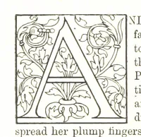 An illustration from Camilla's Girlhood. [A novel (1885)