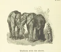 An illustration from Engaged to be married: a tale of to-day (1895)