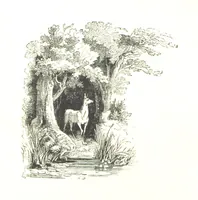 An illustration from The Lady of the Forest. [A novel (1889)