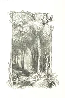 An illustration from The Lady of the Forest. [A novel (1889)
