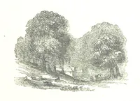Picture 44 of 68 from The Lady of the Forest. [A novel (1889), leaf 205