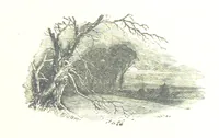 An illustration from The Lady of the Forest. [A novel (1889)