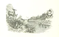 An illustration from The Lady of the Forest. [A novel (1889)