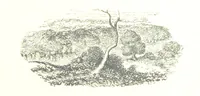 An illustration from The Lady of the Forest. [A novel (1889)