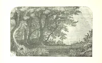 Picture 52 of 68 from The Lady of the Forest. [A novel (1889), leaf 242