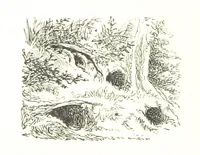 An illustration from The Lady of the Forest. [A novel (1889)