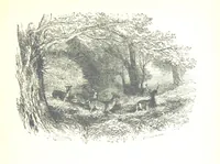 An illustration from The Lady of the Forest. [A novel (1889)