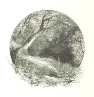An illustration from The Lady of the Forest. [A novel (1889)