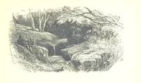 Picture 58 of 68 from The Lady of the Forest. [A novel (1889), leaf 271