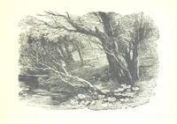 An illustration from The Lady of the Forest. [A novel (1889)