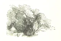 An illustration from The Lady of the Forest. [A novel (1889)