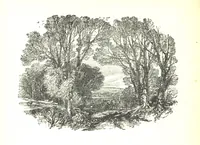 An illustration from The Lady of the Forest. [A novel (1889)