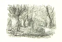 Picture 14 of 68 from The Lady of the Forest. [A novel (1889), leaf 70