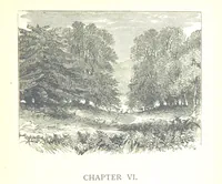 Picture 15 of 68 from The Lady of the Forest. [A novel (1889), leaf 71