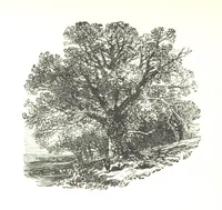 An illustration from The Lady of the Forest. [A novel (1889)