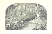 An illustration from The Lady of the Forest. [A novel (1889)