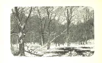 Picture 20 of 68 from The Lady of the Forest. [A novel (1889), leaf 98