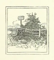 An illustration from Wild Kitty, etc (1897)