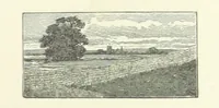 An illustration from Wild Kitty, etc (1897)