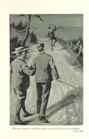Picture 19 of 34 from Wild Kitty, etc (1897), leaf 251