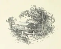 An illustration from Wild Kitty, etc (1897)