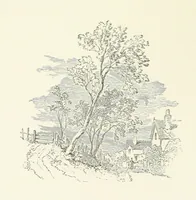 An illustration from Wild Kitty, etc (1897)