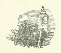 An illustration from Wild Kitty, etc (1897)