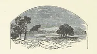 An illustration from Wild Kitty, etc (1897)