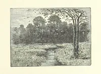 An illustration from Wild Kitty, etc (1897)