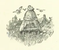 An illustration from Wild Kitty, etc (1897)