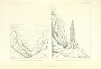 An illustration from St. Helena: a physical, historical, and topographical description of the island ... The botanical plates from original drawings by Mrs. J. C. Melliss (1875)