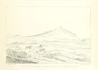 An illustration from St. Helena: a physical, historical, and topographical description of the island ... The botanical plates from original drawings by Mrs. J. C. Melliss (1875)