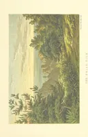 An illustration from St. Helena: a physical, historical, and topographical description of the island ... The botanical plates from original drawings by Mrs. J. C. Melliss (1875)