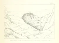 An illustration from St. Helena: a physical, historical, and topographical description of the island ... The botanical plates from original drawings by Mrs. J. C. Melliss (1875)