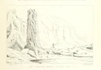 An illustration from St. Helena: a physical, historical, and topographical description of the island ... The botanical plates from original drawings by Mrs. J. C. Melliss (1875)