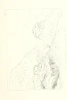 An illustration from St. Helena: a physical, historical, and topographical description of the island ... The botanical plates from original drawings by Mrs. J. C. Melliss (1875)