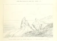 An illustration from St. Helena: a physical, historical, and topographical description of the island ... The botanical plates from original drawings by Mrs. J. C. Melliss (1875)