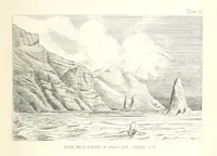 An illustration from St. Helena: a physical, historical, and topographical description of the island ... The botanical plates from original drawings by Mrs. J. C. Melliss (1875)
