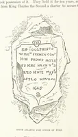 Picture 3 of 62 from St. Helena: a physical, historical, and topographical description of the island ... The botanical plates from original drawings by Mrs. J. C. Melliss (1875), leaf 26