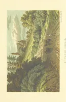 An illustration from St. Helena: a physical, historical, and topographical description of the island ... The botanical plates from original drawings by Mrs. J. C. Melliss (1875)