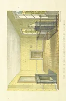 An illustration from St. Helena: a physical, historical, and topographical description of the island ... The botanical plates from original drawings by Mrs. J. C. Melliss (1875)