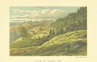 Picture 12 of 62 from St. Helena: a physical, historical, and topographical description of the island ... The botanical plates from original drawings by Mrs. J. C. Melliss (1875), leaf 89