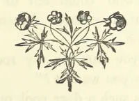 An illustration from Arum Field: or, Life's Reality. [A tale (1891)