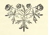 An illustration from Arum Field: or, Life's Reality. [A tale (1891)