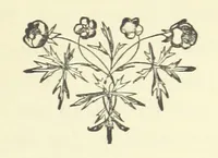 An illustration from Arum Field: or, Life's Reality. [A tale (1891)
