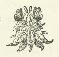 Picture 8 of 11 from Garnston; or a Life's Discipline ... With ... illustrations by W. Gunston (1872), leaf 244