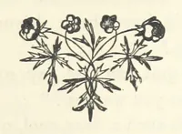 Picture 9 of 11 from Garnston; or a Life's Discipline ... With ... illustrations by W. Gunston (1872), leaf 325