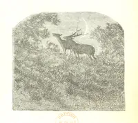 An illustration from Histoire de France. Deuxième édition (1876)