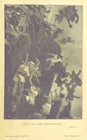 An illustration from Histoire de France. Deuxième édition (1876)